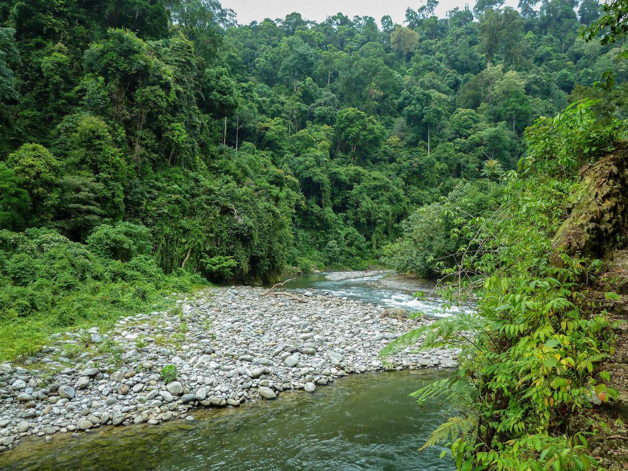 Green Travelodge Bukit Lawang Ngoại thất bức ảnh
