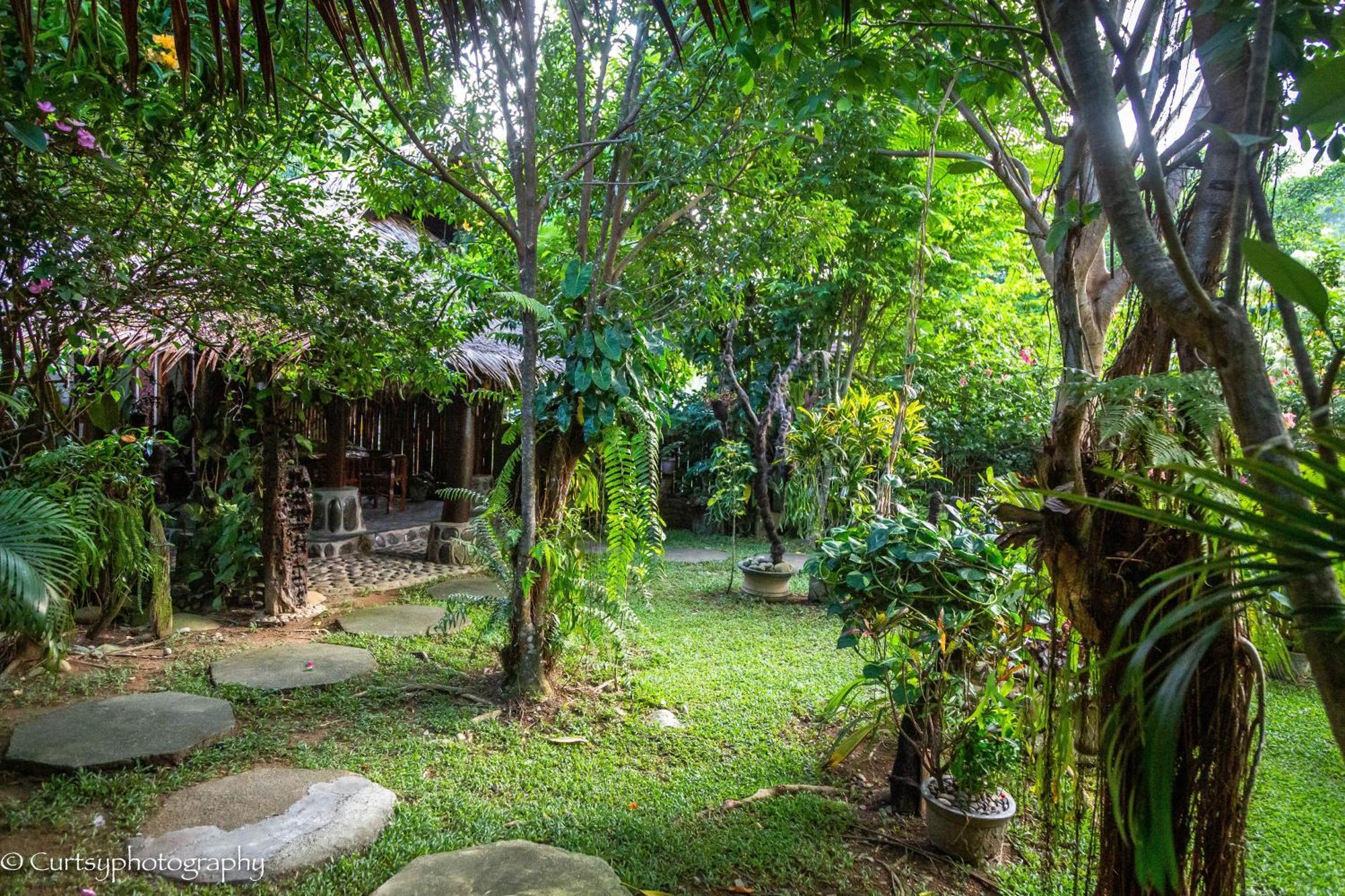 Green Travelodge Bukit Lawang Ngoại thất bức ảnh